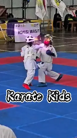 Karate Fight