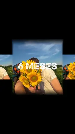 6 meses de novios