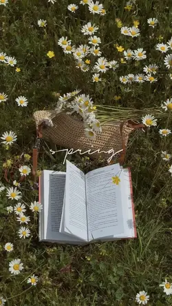 spring