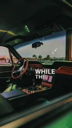 dashboard text pndh