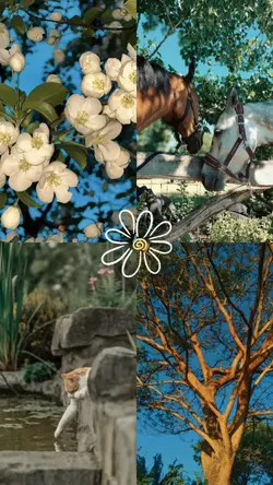 nature wonder