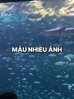1video slow + 39ảnh