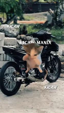 TREND KICAW MANIA