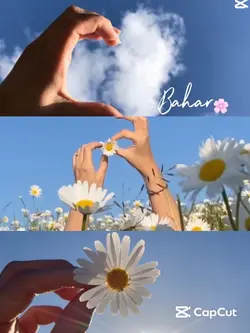 Baharrrrr