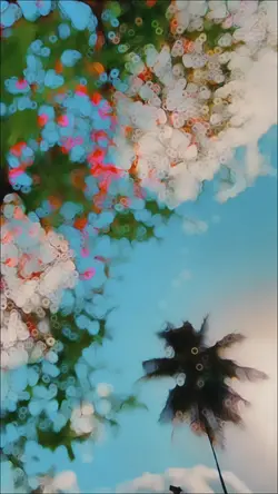 slow motion template