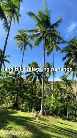 Bilis ng panahon