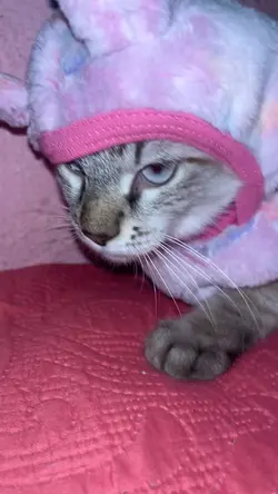 Minha neném 🥹