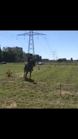 Équitation 