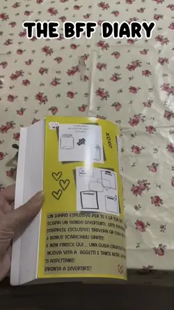 Thebffdiary