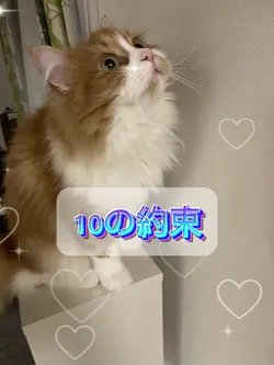 約束