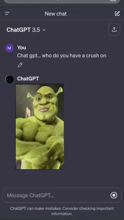 Chat gpt crush