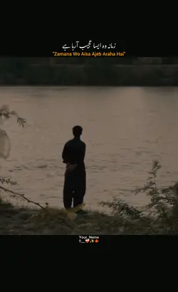 Wafa Tum Na Dekhoge