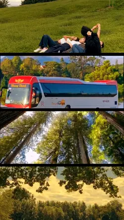 4 Frame Video