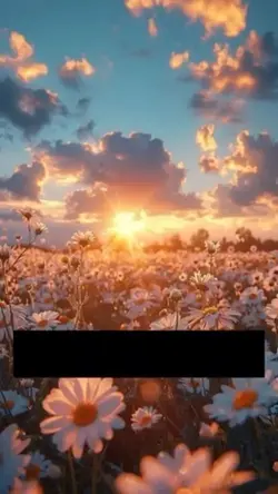 New video filter