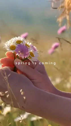 spring is coming 
