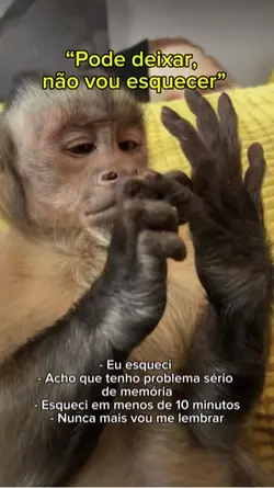 Meme n vou esquecer