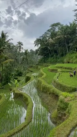 village atmosphere