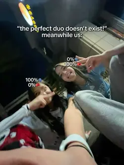 the perfect duo 