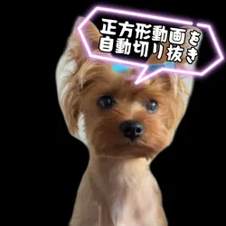 27秒以上の動画を自動切り抜き30秒に