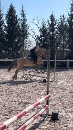 slowmo