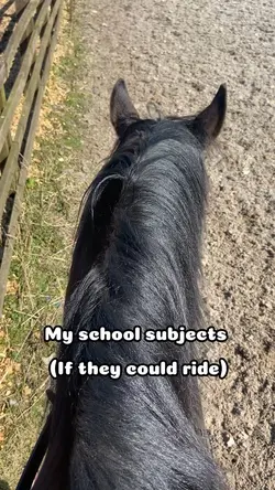 My school subjects