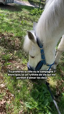ville ou campagne