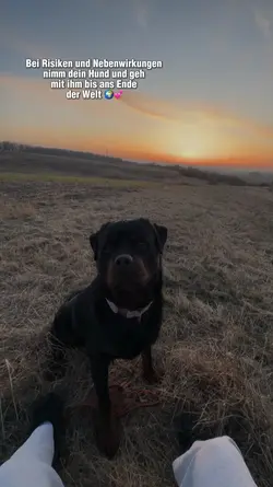 Nimm deinen Hund ❤️
