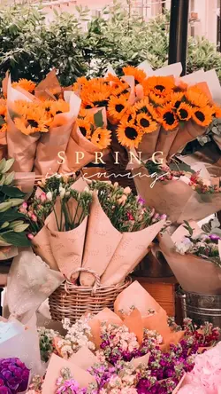 Spring is coming 🌸