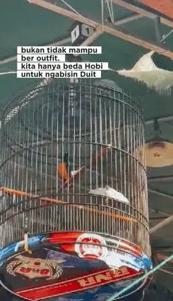 murai sujud 
