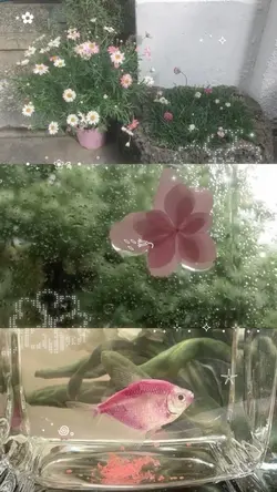 3 pics core