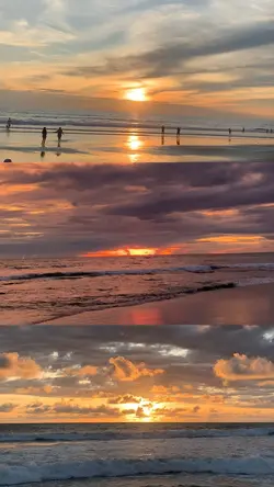 3 videos