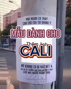 Mẫu Cho Cali