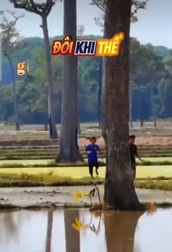 thế giới thật 