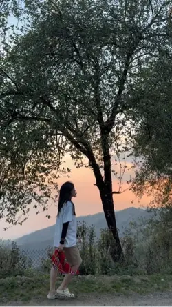 1video