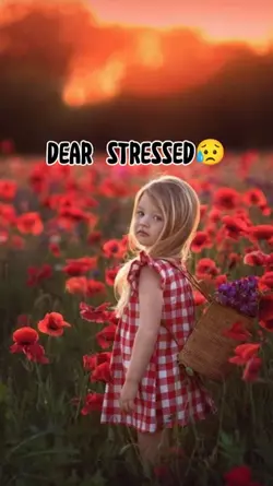 Dear stressed 