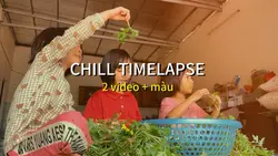 2 video + màu