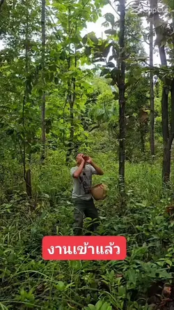 ê