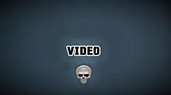 phonk 