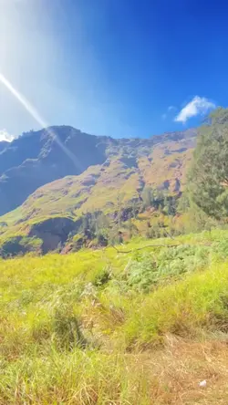 vibes rinjani