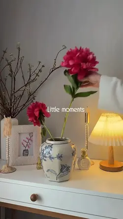 Daily vlog