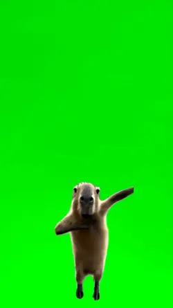 Cappibara Dance Meme
