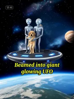 Flying with alien