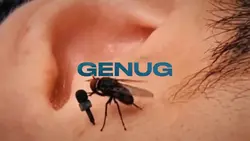 DU BIST GUT GENUG