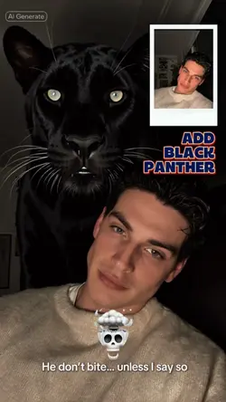 Add Black Panther