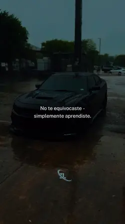 No te equivocaste.