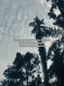 STORY