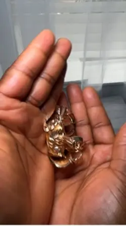 tiktok finds