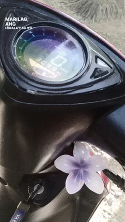 marilag ft hair clip