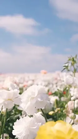 6 videos aesthetic 