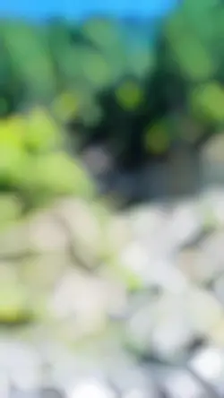 Smooth template 